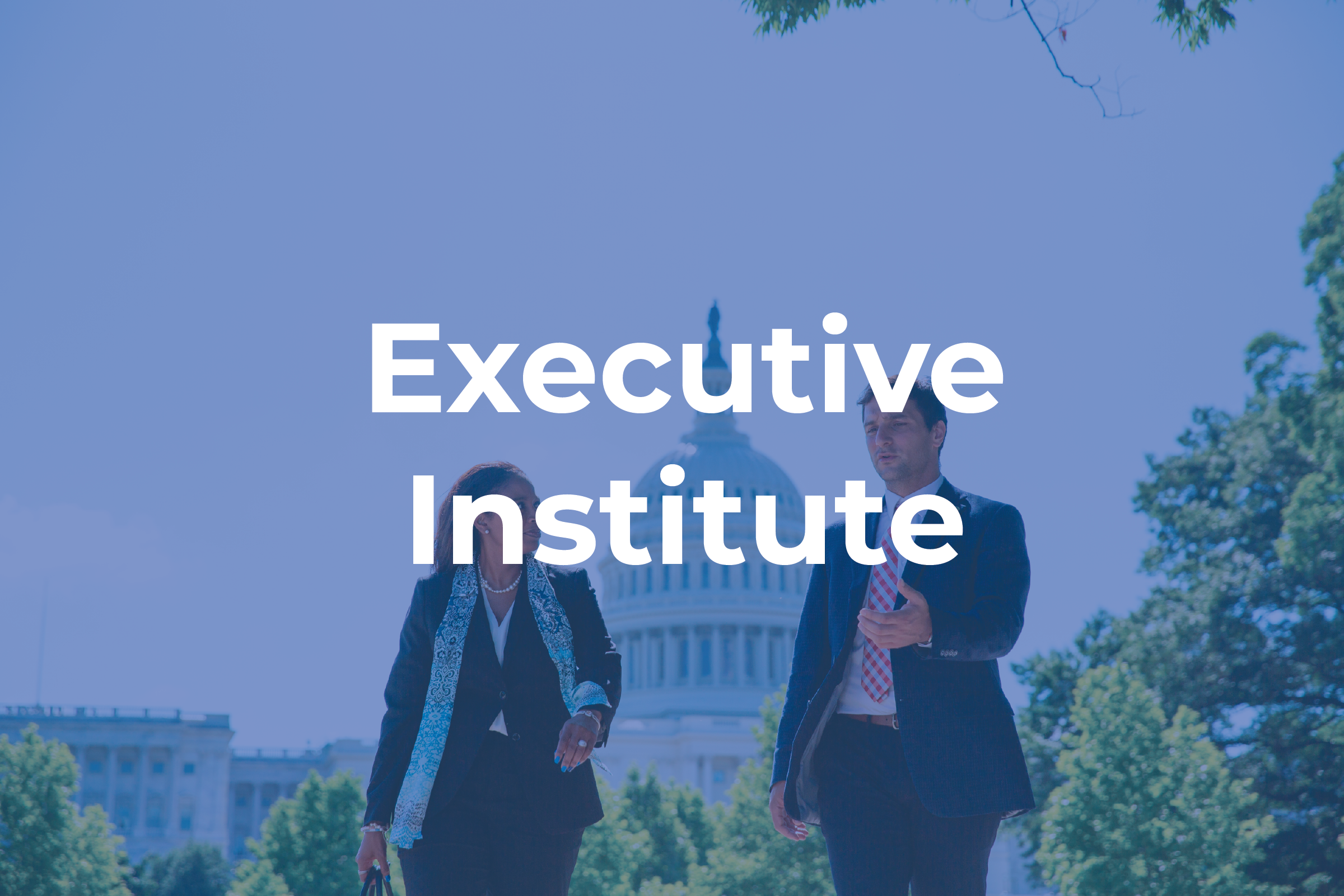 Executive Institute