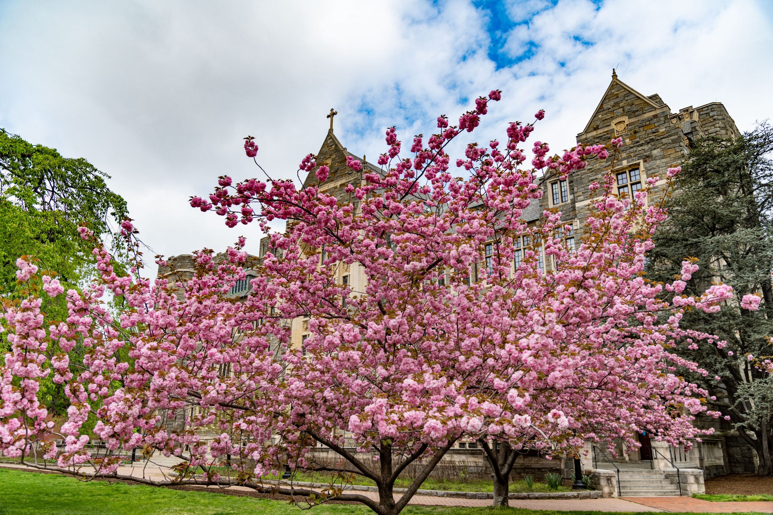 Georgetown Campus in Spring