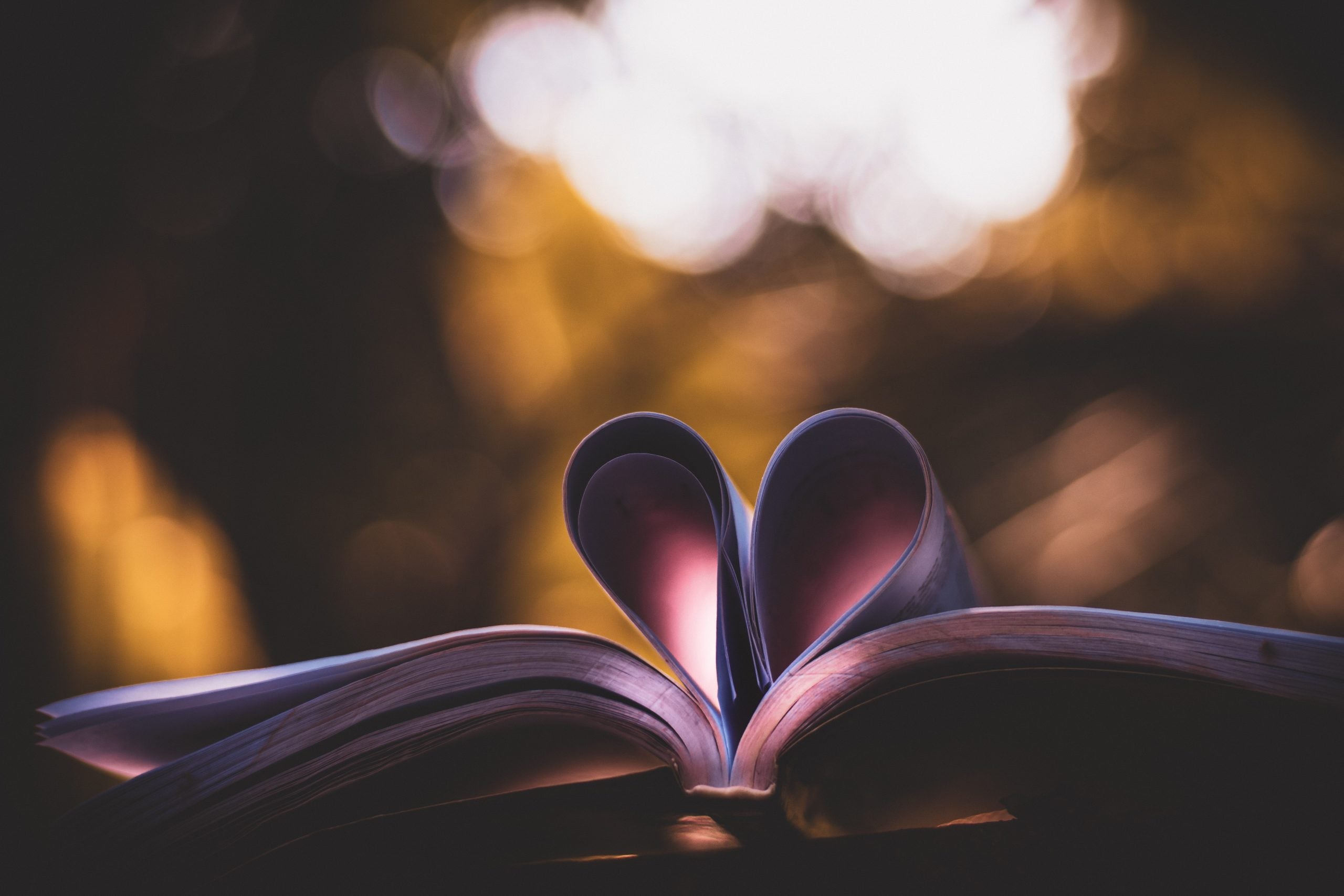 Open book with pages folded into a heart shape