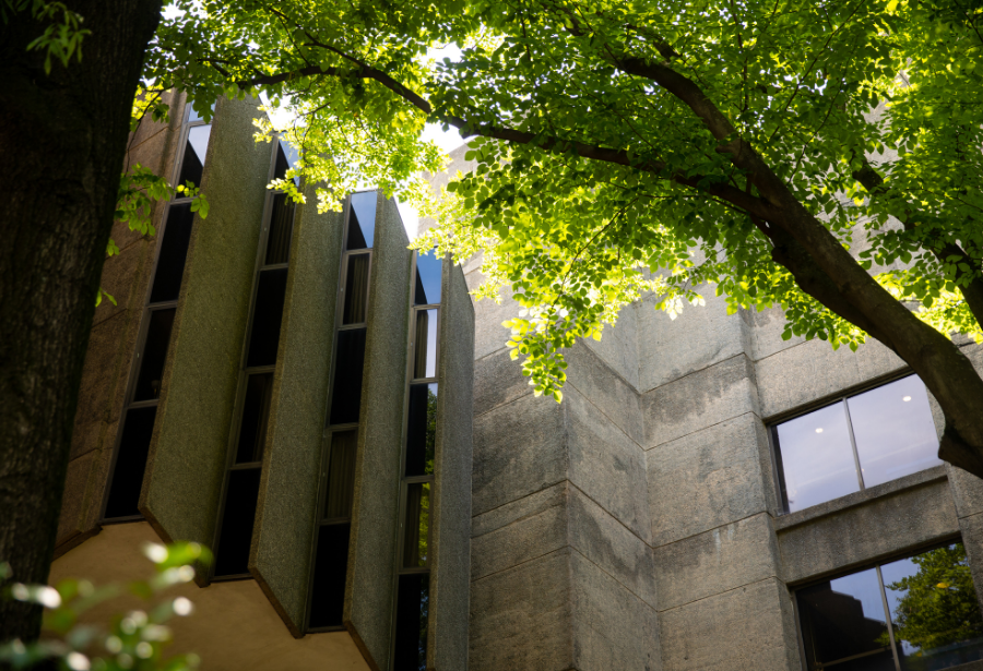 Lauinger Library