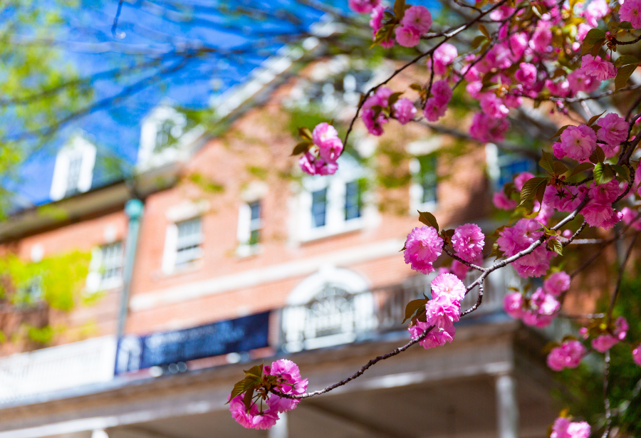 Old North from Dahlgren Quad