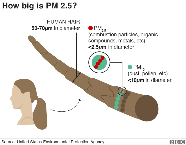 PM2.5 pollution size comparison with human hair