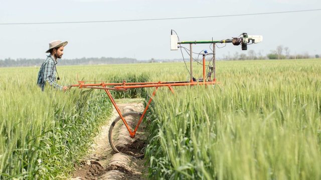 Man guiding farm equipment across crops