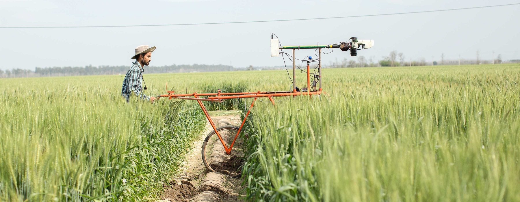 Man guiding farm equipment across crops