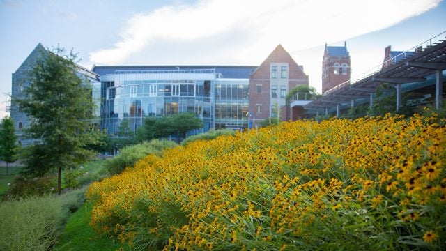 Hariri garden on Georgetown University&#039;s campus