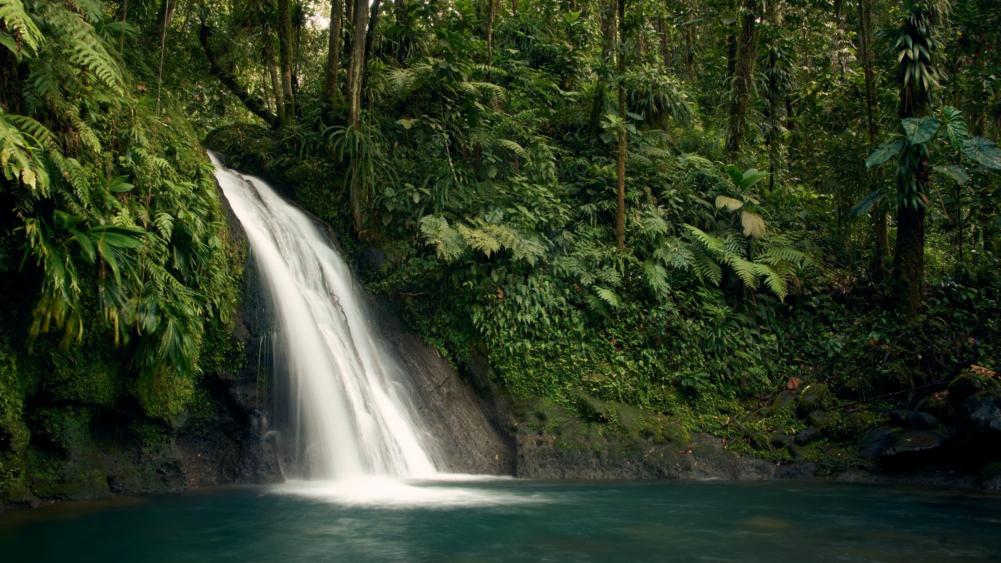 Waterfall in a tropical environment