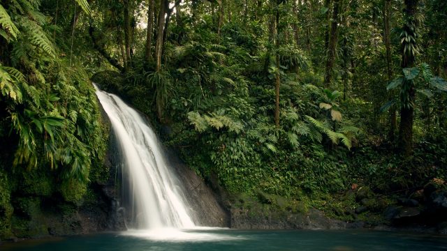 Waterfall in a tropical environment