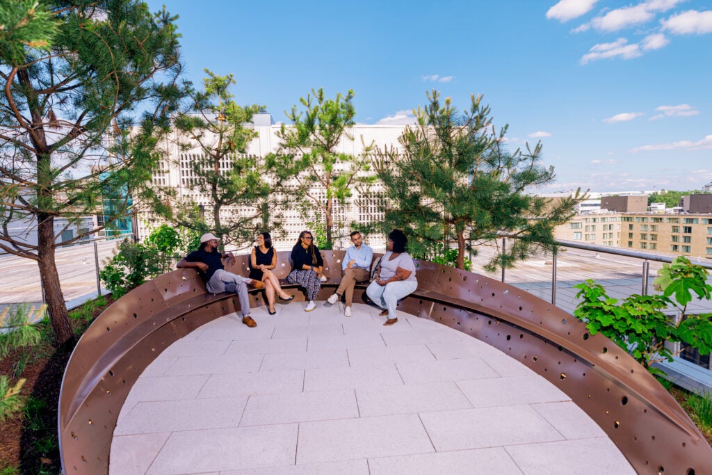 Maya Lin- Sky Garden