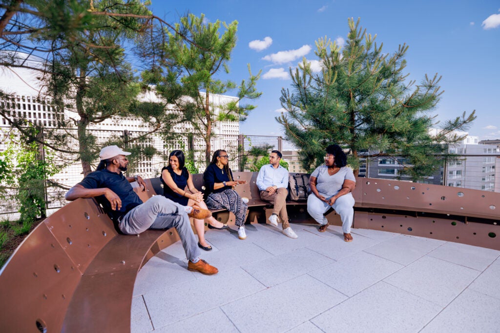 McCourt School Green Roof Terrace