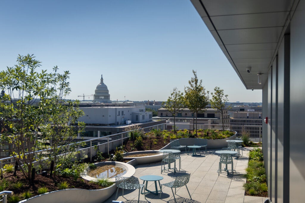 McCourt School Sky Garden