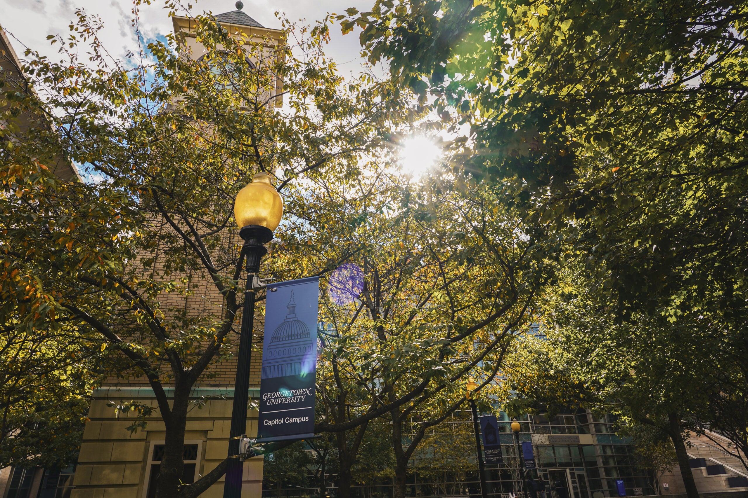 Fall foliage on Capitol Campus