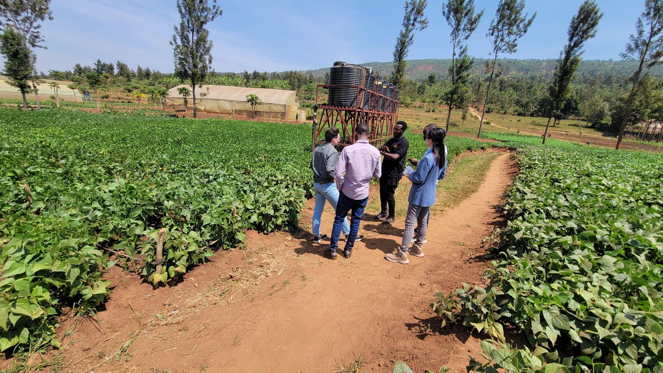 People speaking in farming field