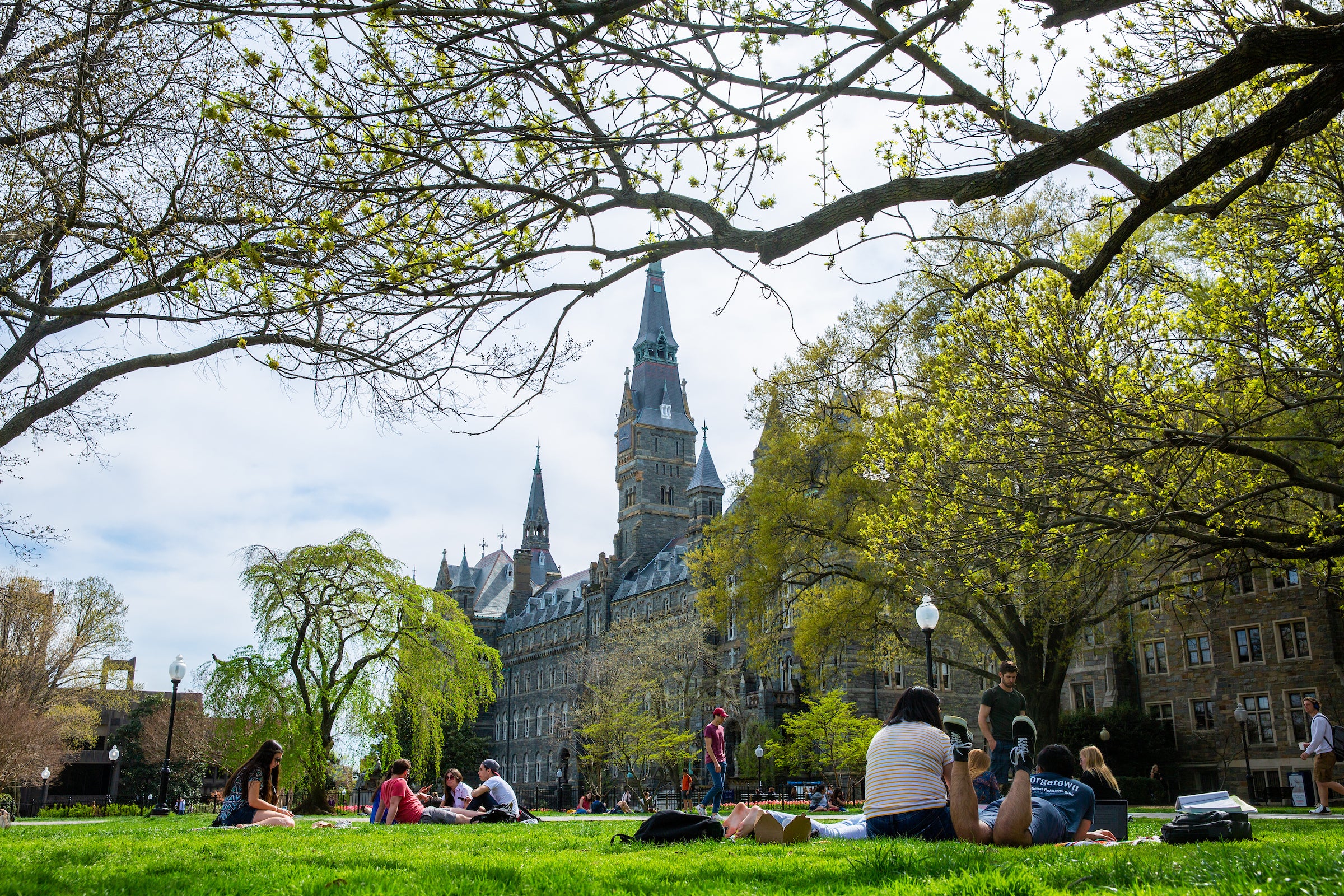Georgetown's Hilltop Campus in the spring, bright green foliage