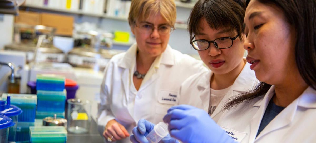 Women in STEM : Image of three women in lab coats in a laboratory setting